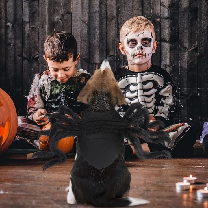 Traje de traje de pet -ara de pet -aranha de halloween bwogue fantasia de aranha de cão de cães para traje de festa
