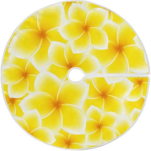 Orencol Amarelo Flor Plumeria