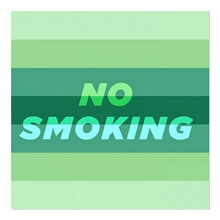 CGSignLab | Janela não fumando -moderna Janela se apegando | 16 x16
