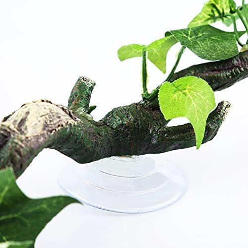 Cayway Réptil canto de ramo de ramo de réptile árvore com copo de sucção, 6 PCs água -viva, 2 PCS Plantas aquáticas para decorações