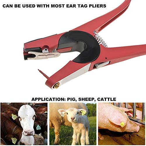 Famkit 2pcs etiqueta de orelha Tagger Pino de grampo de agulha para gado de gado de porco Ferramentas de marcação de ovelhas