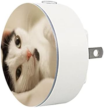 2 Pacote de plug-in Nightlight LED Night Light Cat Pattern com sensor do anoitecer ao amanhecer para o quarto de crianças, viveiro, cozinha, corredor