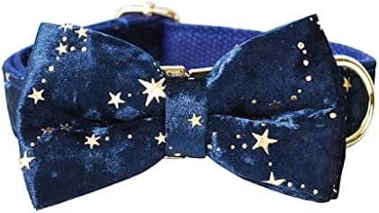 Zlxdp Deep Blue Velvet Dog Collar and Leash Set for Christmas Gold Glitter Stars ID personalizado colar