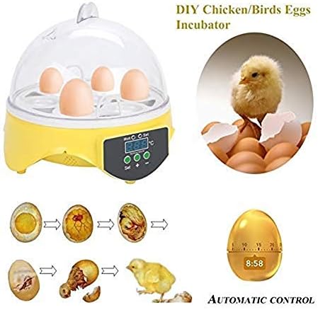 ALREMO 103234536 MINI 7 ovos incubadores de ovos automáticos Controle de temperatura digital de capoeira para galinhas patos de