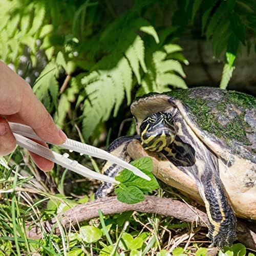 Patkaw Lizard Food 2pcs répteis alimentar répteis alimentação pinça de aquário pinça de aquário répteis alimentos de alimentação de alimentos para lagarto de répteis clipes