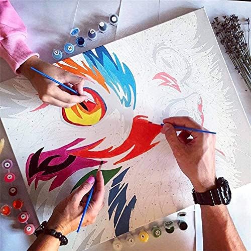 Paint by números para telas adultos - flores e pintura de adultos de pássaros azuis - pintura - pintura por números para adultos -