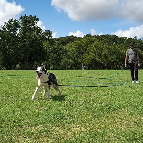 Oi beijo cachorro/filhote de obediência Recordar de treinamento Lead - 15 pés 20 pés 30 pés 50 pés de treinamento de 100 pés - Ótimo para treinamento, jogo, camping ou quintal - preto 15 pés