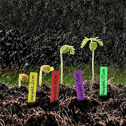 Mziart 120pcs 4 polegadas Planta plástica Tags de plantas de berçário à prova d'água Rótulos de plantas de estacas marcadores de panela, multicolor