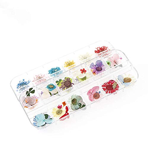 Gokeop Unh Nail Art Real Seca Flower Set - 12 Color 3D Nail Art Kits Kits de unhas Manicure de flores preservadas Decoração de