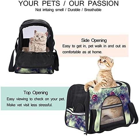 Portador de animais de estimação Adorável Pinecone Soff-sideal Travel Travels for Cats, Dogs Puppy Comfort portátil dobrável Pet Saco