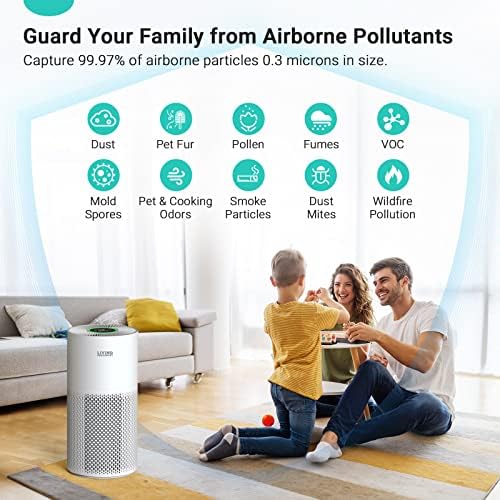 Purificadores de ar de enriquecimento vivos para casa de quarto, limpador de ar para animais de estimação odores de