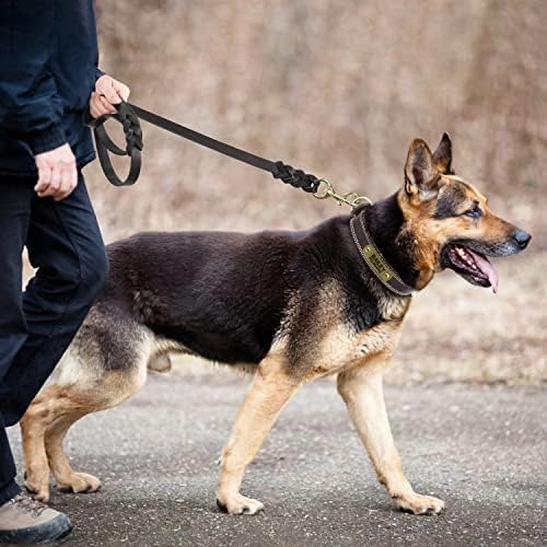 Coleira de cão de couro trançado Joytale, 6/5/4 pés fortes e duráveis ​​Treinamento de cães coleira, trela de cachorro de couro de couro