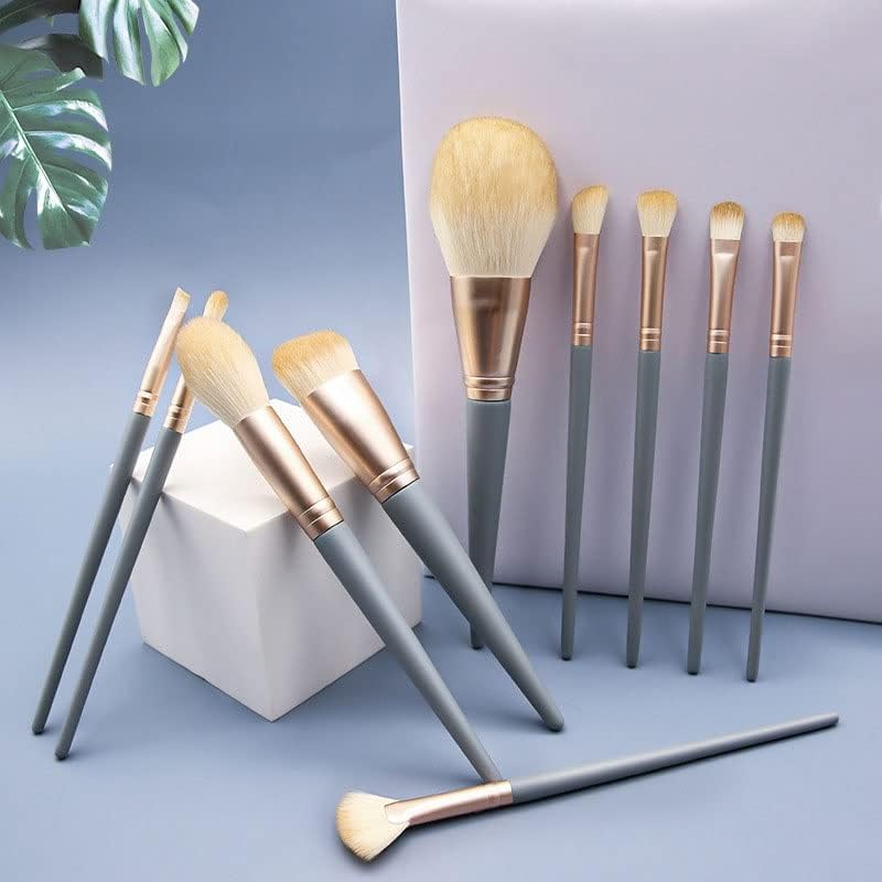 Conjunto de 10 escovas de maquiagem FEER conjunto completo de escovas de pó soltas ferramentas de beleza escovas de sombra para os olhos
