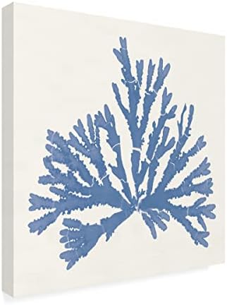 Marca registrada Bine Art 'Pacific Sea Mosses IV Blue Light' Arte de tela por portfólio de maçã selvagem 24x24