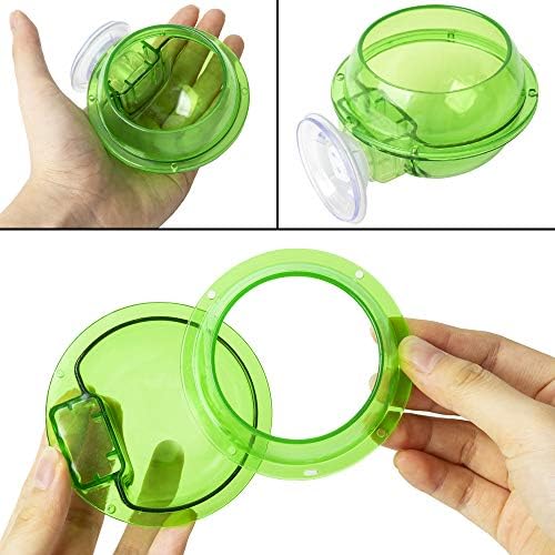 IAFVKAI CUPLA DE REPETILENTE DE REPETILENTE 2PCS Tigela de alimentação de água de répteis para camaleões Tartaruga Gecko Snakes Iguana Lizard