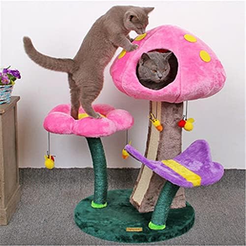 Gatos ldchnh escalando gatos de gatos arranhando pós -flores gatos quadros gatos pulando plataforma gatos gatos gatos