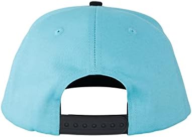 Santa Cruz Mid Profile Snapback Baseball Hat Classic Dot Skate Hat