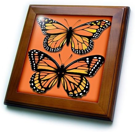 3drose ft_170878_1 duas borboletas monarcas coloridas em uma obra de arte com armação de fundo laranja correspondente, 8
