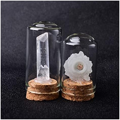 Qiaononai zd1226 1pc amostras de mineral de garrafa de vidro natural quartzo de cristal cristais crus ornamentos decoração de casa ensino