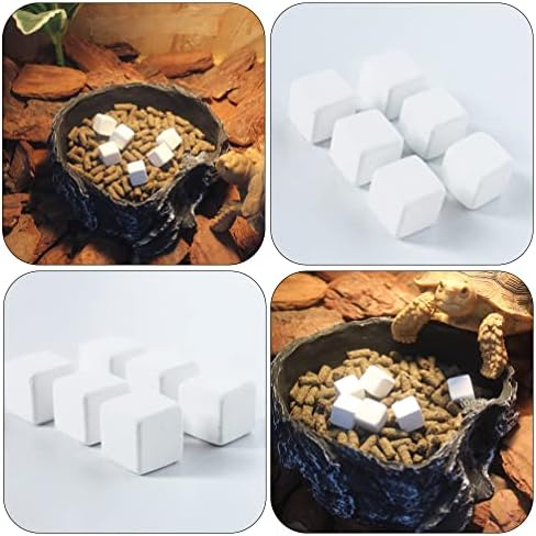 IPETBOOM TOTOISE TANQUE CUBO DE CÁLCIO 10pcs Réptil réptil répteis minerais de cálcio natural Cubos molares para tartaruga de tartaruga répteis de répteis de tartaruga Condicionador de água de tartaruga