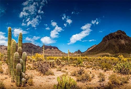 Cenário de cacto deserto de 10x8 pés de 10x8ft para fotografia western azul sky muntains verde grande cholla cholla background masculino