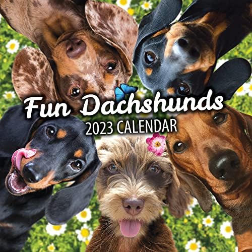 Fun Dachshunds Dog Wall Calendário 2023 - Planejador familiar grande e organizador diário com Dachshund Imagem - Presente