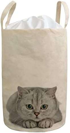 Lavanderia cesta de cesto colapsível lindo gato bonito cesto cinzento roupas sujas roupas de linho à prova d'água Organizador de armazenamento de linho