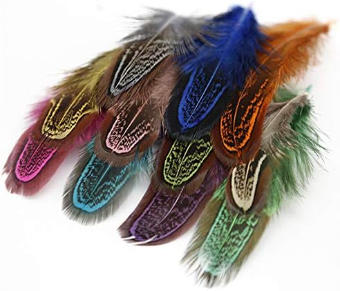 Ttndstore 4-8cm 2-3 polegadas Formadas faisões de ringneck natural para roupas de penas pretas para jóias fazendo plumas