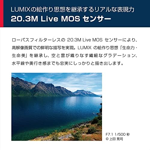 Panasonic DC-G99D [Câmera Lumix G99D Body Four Thirds Sensor Mirrorless] Câmera de 20.3MP enviada apenas do Japão lançado em 2022
