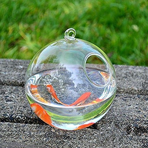 Sisi Sisi pendurado tanque de peixes de vidro transparente Fish Fish Bowl Vasos criativos de aquário