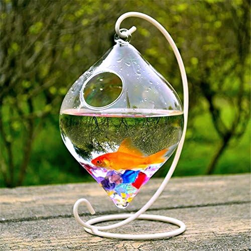 Shina Creative pendurada tanque de peixe de vidro transparente tigela de peixe e vasos para decoração em casa com suporte branco