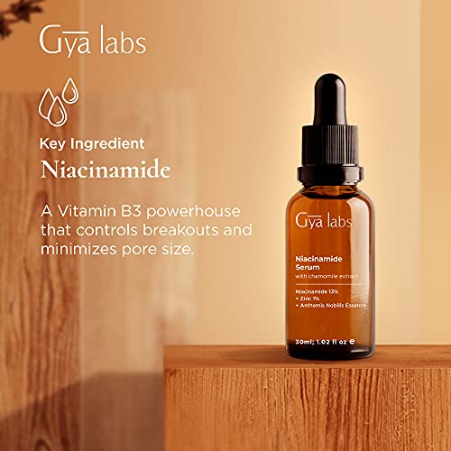 Gya Labs Niacinamida Serum para Face & Rose Hand Cream para conjunto de mãos secas