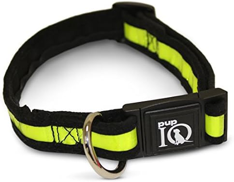 Pup iq smartpup prisma colar de cachorro refletivo, para refletividade e durabilidade, grande, limão