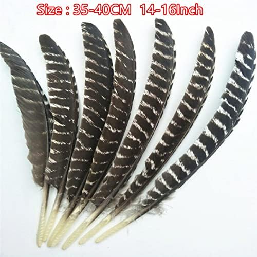Penas de águia natural 8-16 /20-40cm Pássaros de águia penas para artesanato em casa penas decoração carnaval assesoires-20-25cm 8-10 polegadas, 200 peças