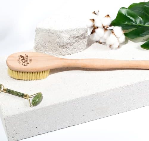 Escova traseira pincel de celulite cacto natural cacto vegano arbusta de chuveiro de banheiro