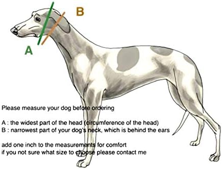 Martingale Dog Collar and Leash Set for Greyhound Saluki Whippet e outras raças com pescoço semelhante 2 de largura