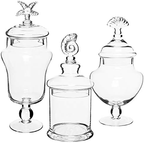 Mygift Clear Glass Apothecary frascos com tampa, barra de banheiro decorativa de concha decorativa, recipientes de buffet de doces,