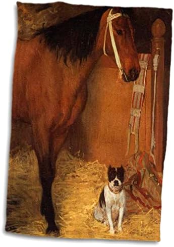 Foto de 3drose de famosa pintura de degas de cavalo n cão no celeiro.jpg - toalhas