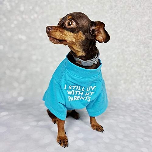 Camisa de cachorro francesa de bulldog para roupas de estimação camisetas de cachorro gato tee de figurinos elásticos respiráveis