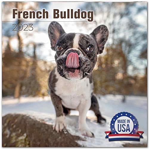 2022 2023 Calendário de Bulldog Francês - Calendário mensal de parede de raça de cães - 12 x 24 Open - Papel sem vergonha - Presente - Calendário Planejador de Professores Acadêmicos Organização e Planejamento - Feito nos EUA