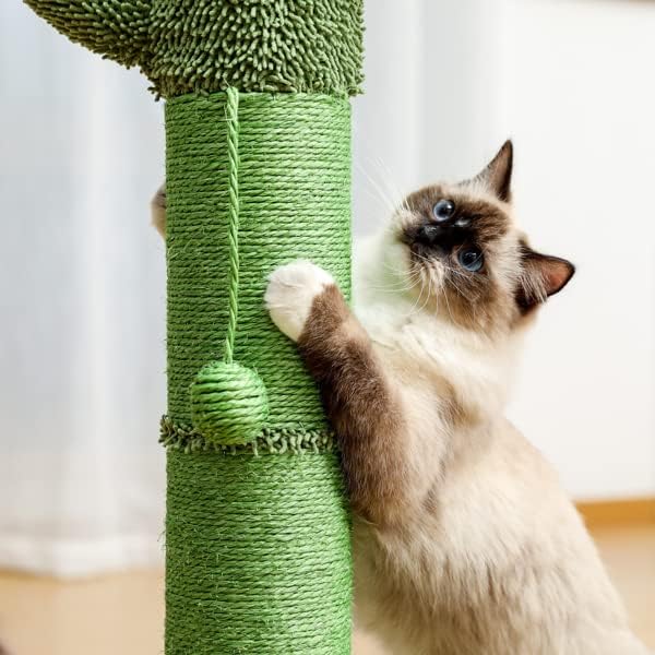 Cactus Cat Tree Cat Scratcher com sisal arranhando posta