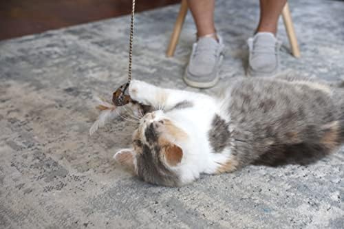 Nossos animais de estimação Pets Play-N-SQUEAK Practting Interactive Cat Toy