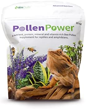 The Bio Dude Pólen Power 4 oz - Suplemento de pólen de abelha premium - Ótimo para dragões barbudos, tartarugas e outros herbívoros/onívoros