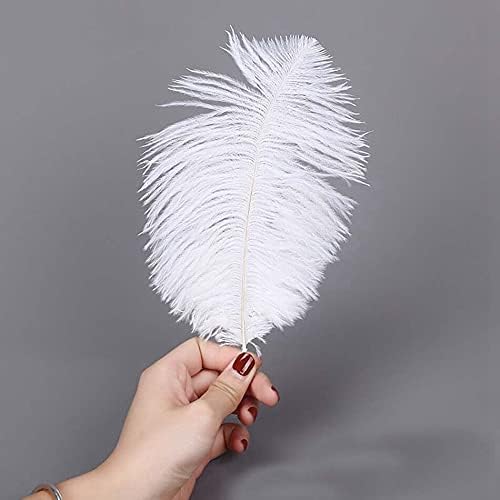 10pcs/lote 15-30cm Feathers naturais de avestruz branca para artesanato Jóias de penas de festa colorida DIY Fazendo