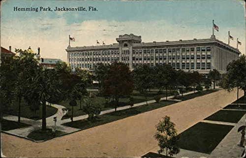 Vista da rua de Hemming Park Jacksonville, Florida FL Original Antique Postcard