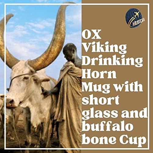 BSGI Natural Ox Viking bebendo caneca de buzina com copo de vidro curto e búfalo copo seguro bebida artesanal e natural