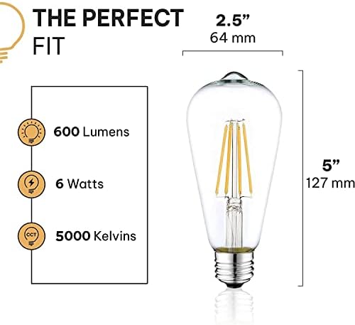 Hudson Bulb co. Lâmpadas de LED de LED de Edison vintage 6W Stiy ST58 2700K LUZES BRANCAS MOLAS E LUZES DE EDISON LED BULS