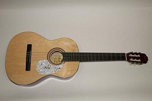 Jackson Browne assinou o violão da marca Autograph Fender - Hold Out, JSA