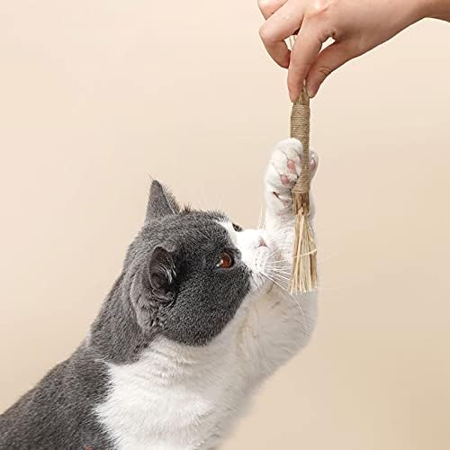 WishLotus Natural Cat Sticks, 4pcs Silvervine Cat Sticks Para deixar gatos animados, gatos Silvervine Dental Sticks para respiração fresca e dentes limpos, brinquedos para gatos internos para aumentar o apetite