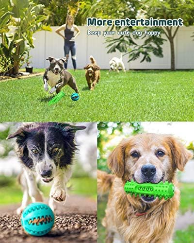Doopen Dog Toys Toys para mastigar agressivos raça média, brinquedos de cachorro pequenos, brinquedos estridentes com